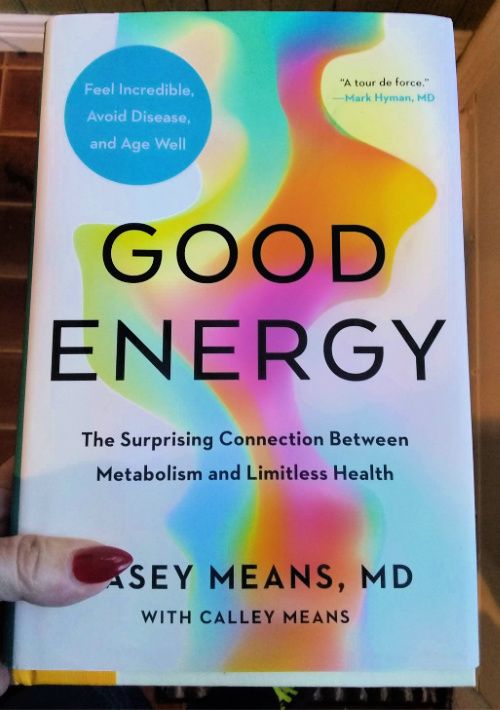 Good Energy Book Cover